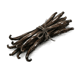 vanilla